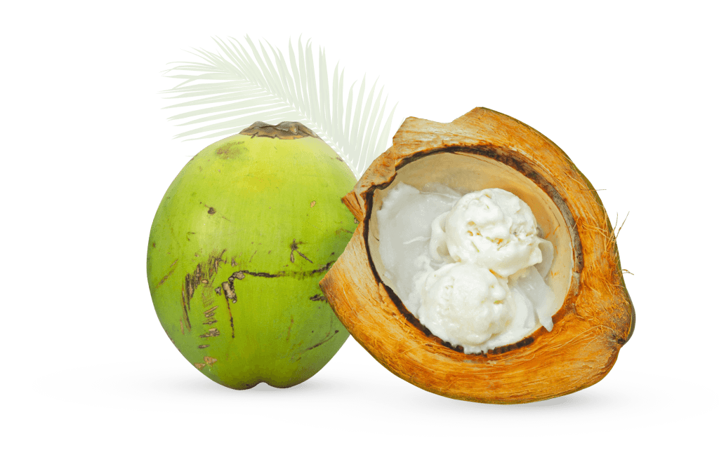 Tender Coconut Ice cream